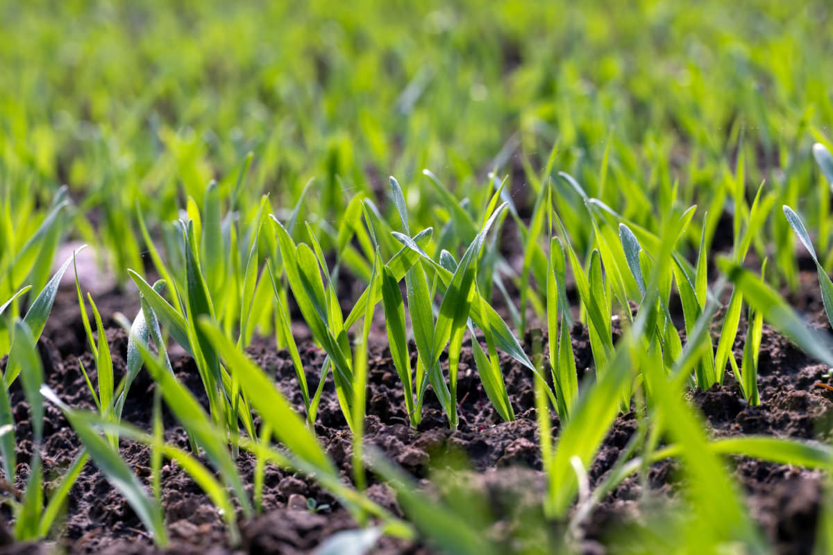 Deckungsumfang erweiterte Produkthaftpflicht 